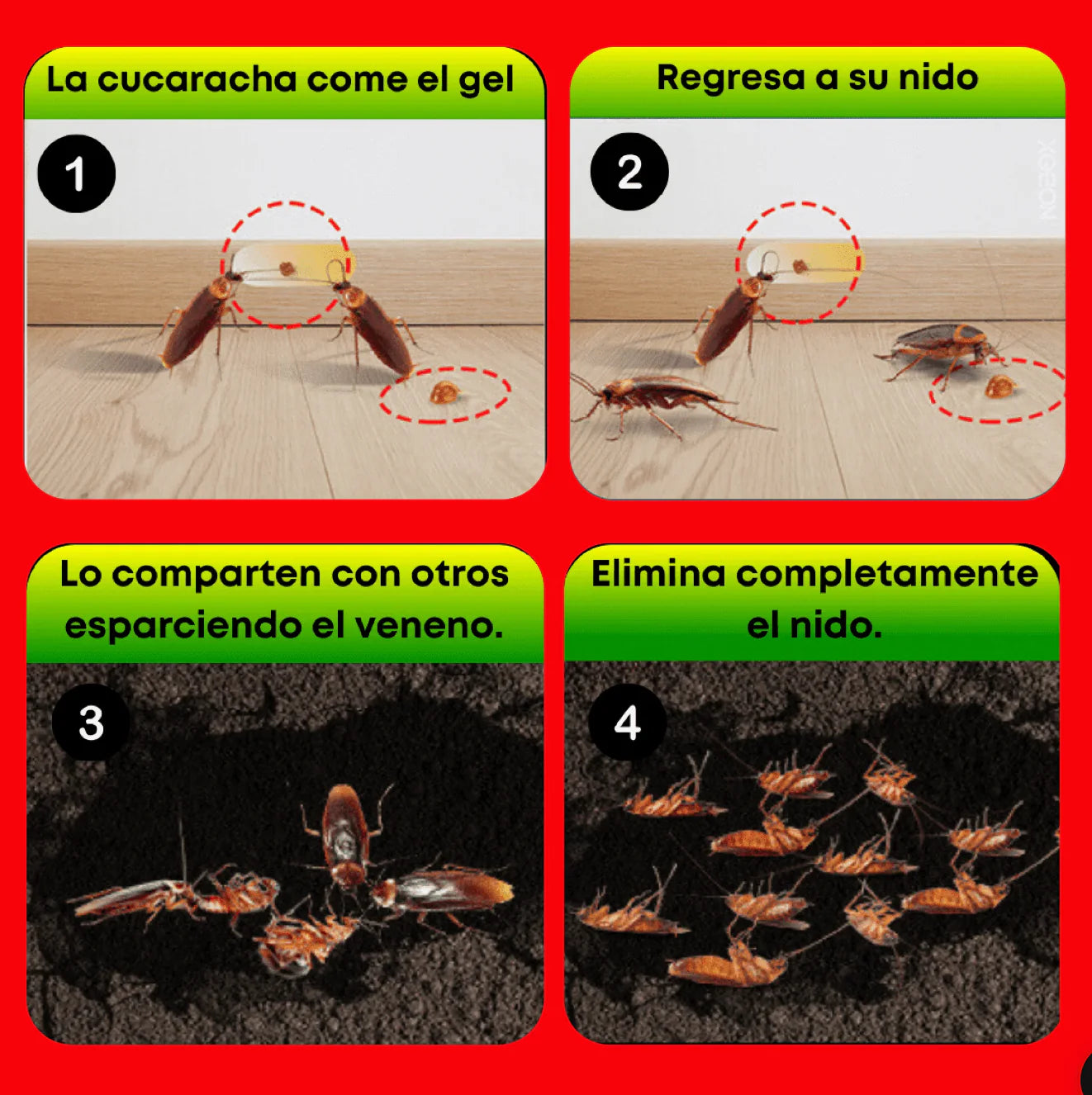 ROACH EXPERT - GEL EXTERMINADOR DE CUCARACHAS